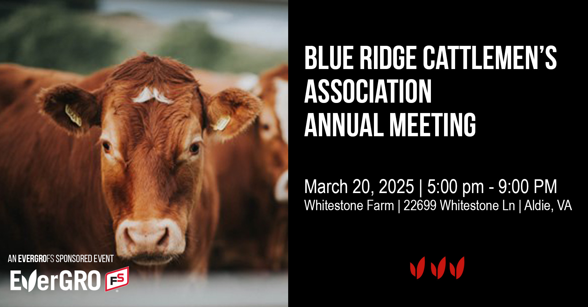 Blue Ridge Cattlemen's Association Annual Meeting