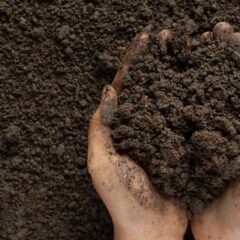 hands with dirt