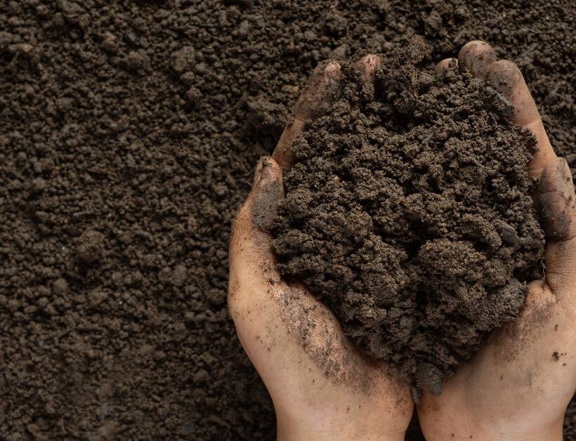 hands with dirt