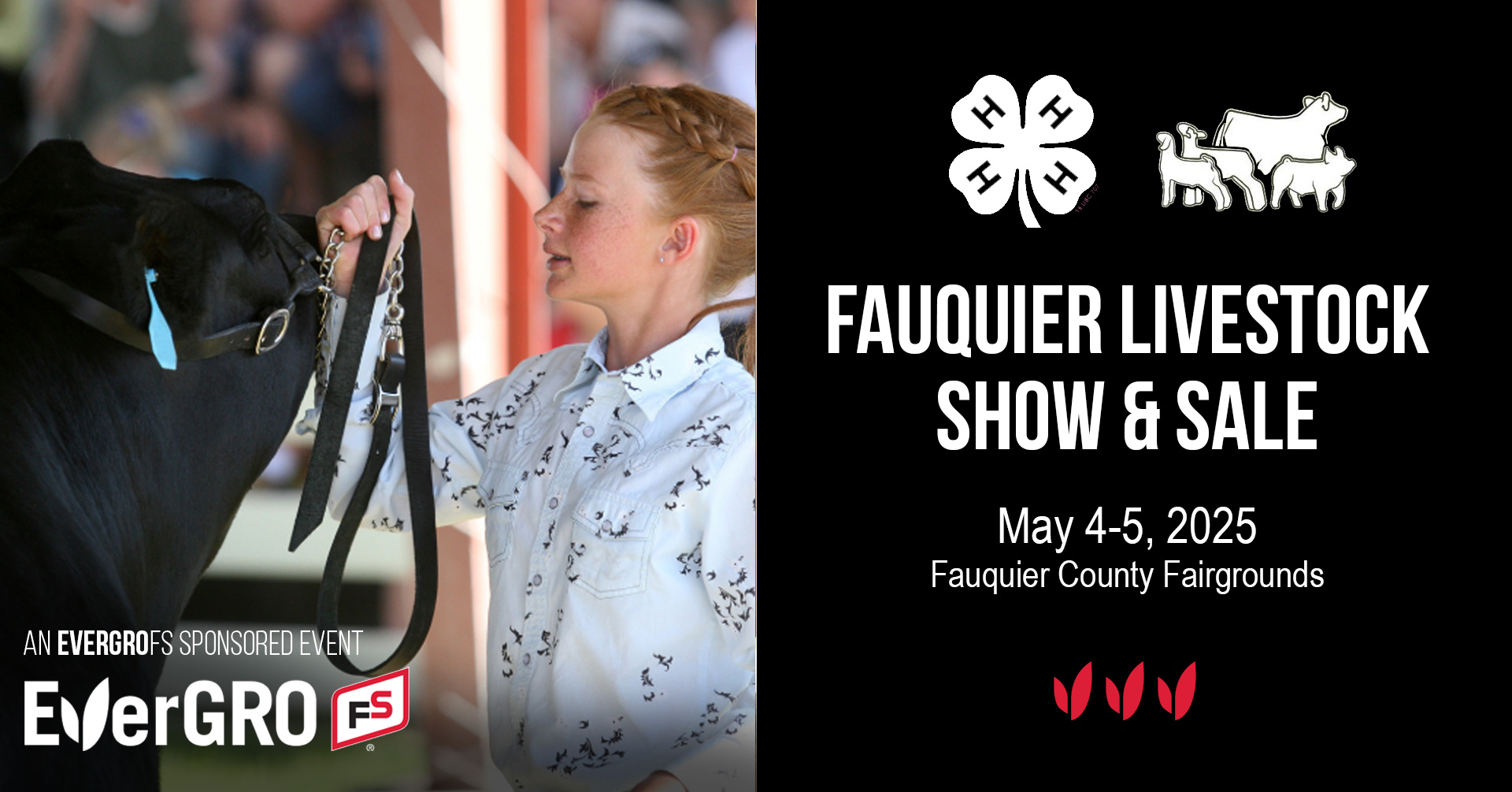 Fauquier Livestock Show and Sale