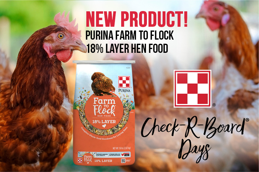 Purina Farm to Flock 18% Layer Hen Food now available at The Farm Store by EverGRO FS