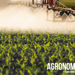 spraying field