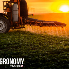 spraying soybeans