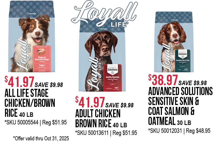 Fall-Circular-2025-17r.png
