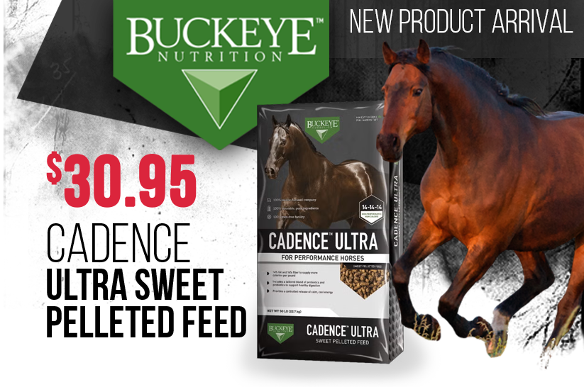 Cadence Ultra Sweet Pelleted Horse Feed by Buckeye