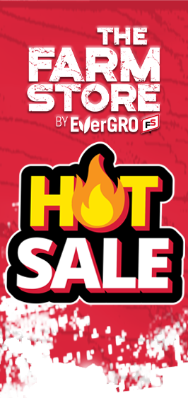 hot-sale-feed