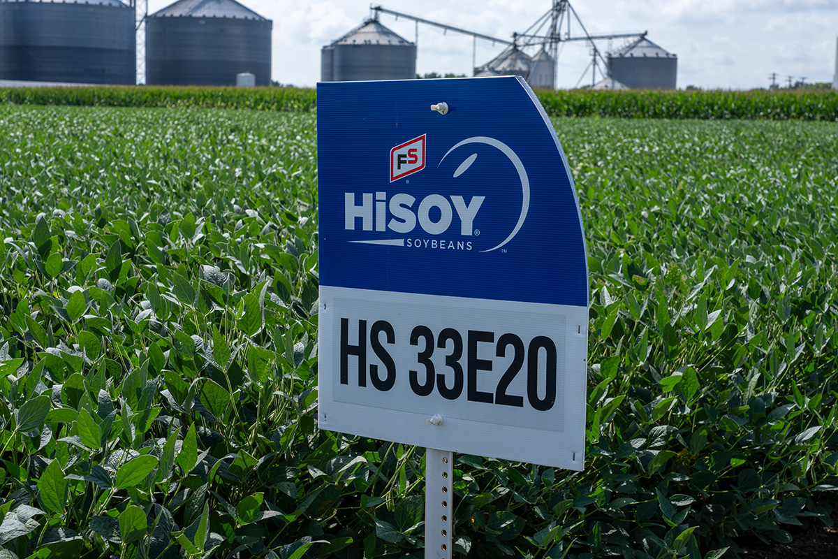 EverGRO FS Agronomy seed solutions