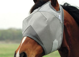 The Farm Store by EverGRO FS has fly control products for your equine health and comfort