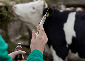 The Farm Store by EverGRO FS has a variety of products for livestock health