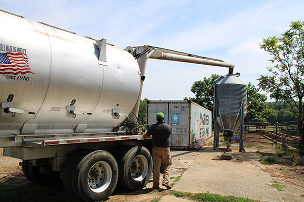 bulk-feed-delivery.jpg