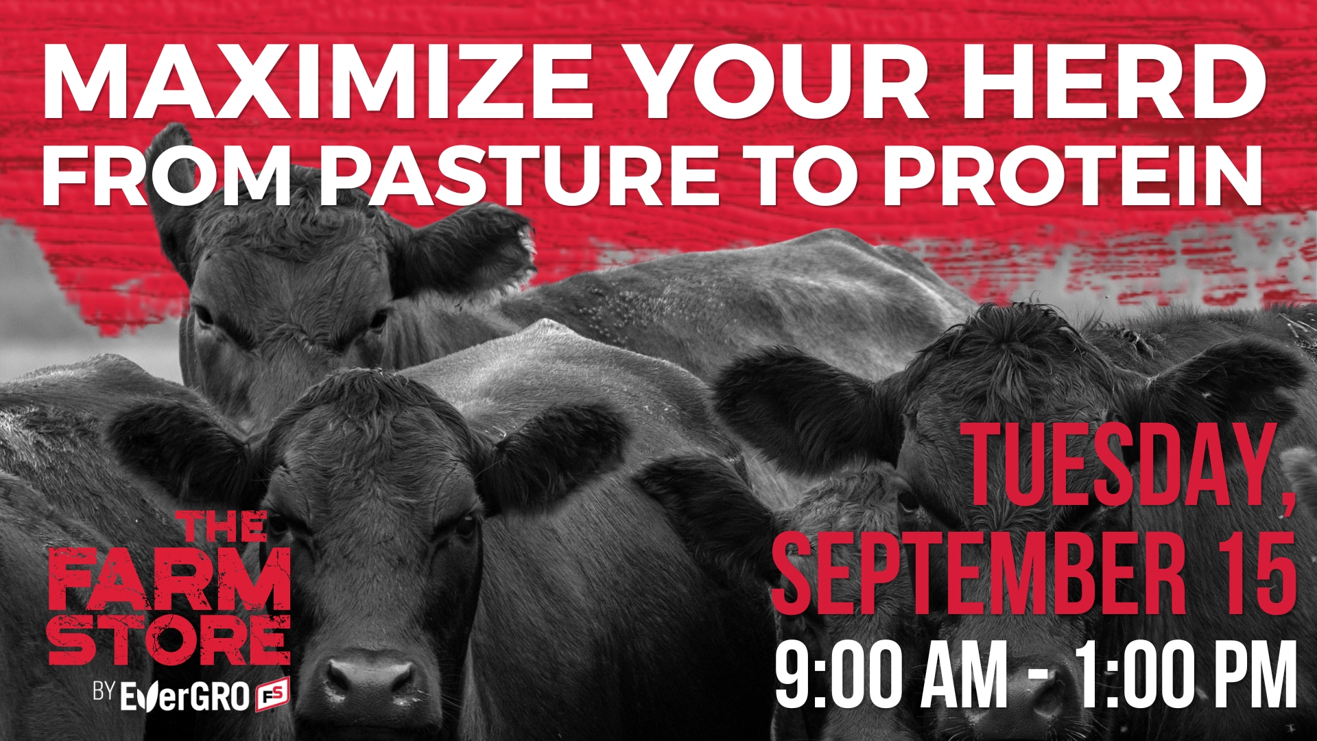 Cattle Meeting Banner Image